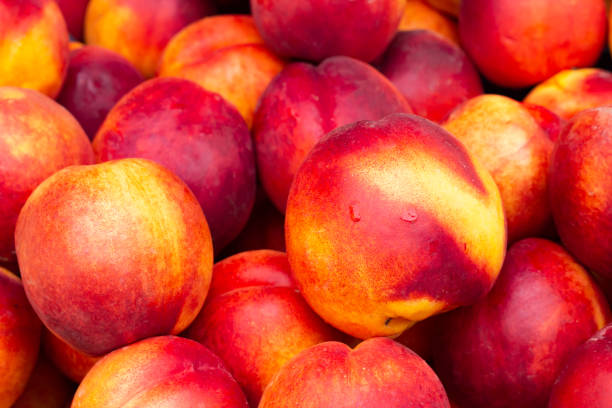 -heap of ripe nectarine fruits close- up, selective fokus. - nectarine peach red market imagens e fotografias de stock