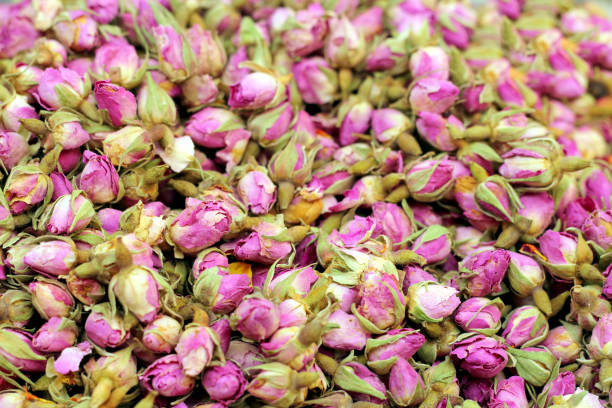 куча сухих чайных розовых почек. - tea rose tea crop scented стоковые фото и изображения