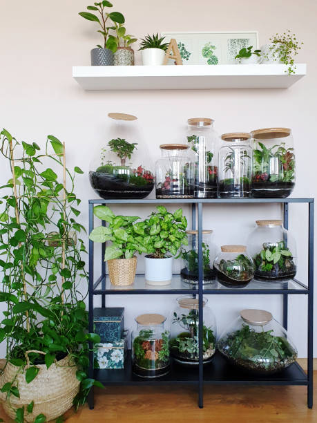 istock Beautiful jar with live forest with self ecosystem, terrarium, forest in a jar 1215180589