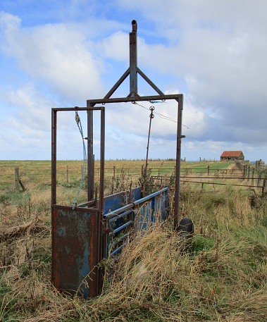 Abandoned farm machinary (cattle or sheep crush or squeeze) on Cleveland way national walking trail. Sea cliffs to the south of Staithes. With barn on distant horizon. Staithes, North Yorkshire, United Kingdom, September 7, 2019.