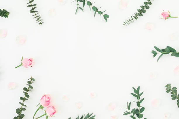 istock Floral pattern with pink roses and eucalyptus on white background. Flat lay, top view. 1215181831