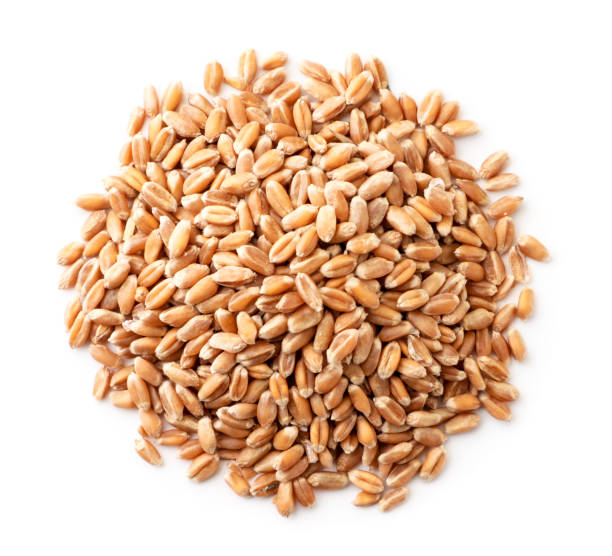 istock Grains of wheat close up top view. Isolated 1215181939