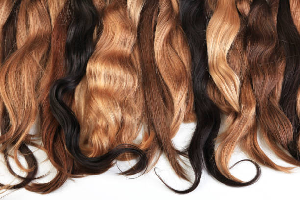 mix of natural extensions hair: blond, red, brown. strands of hair for hairstyles. - adult variation boutique occupation imagens e fotografias de stock