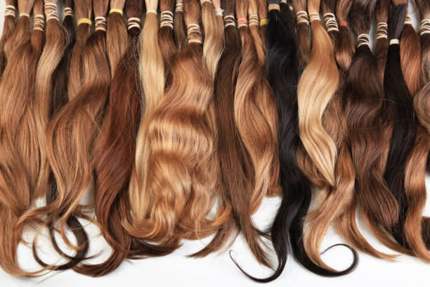 hair extension equipment of natural hair. hair samples of different colors - adult variation boutique occupation imagens e fotografias de stock