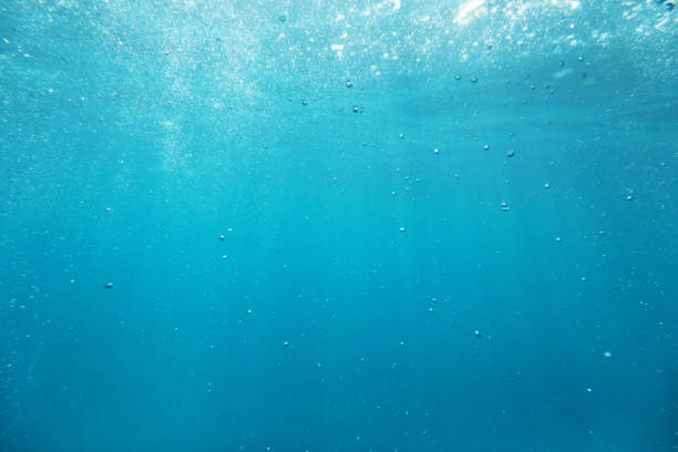 View under the Sea looking up to the surface of the Ocean