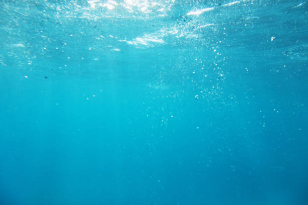 istock Under the Deep Blue Sea Sunbeam Background 1215187095