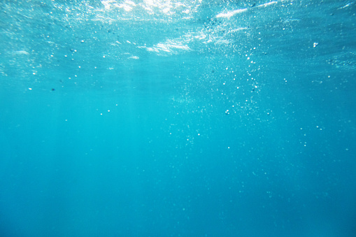 View under the Sea looking up to the surface of the Ocean