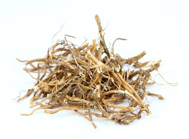 istock Dried nettle roots, Urtica diocica, on white background 1215188541