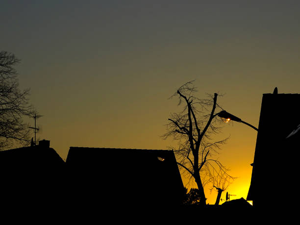 A depiction of the silhouettes from buildings, vegetation and other objects, as a result of a counter-light, low angle Photo-shot done at sunset. This shot was done in mid March 2020, in Dusseldorf, Germany.