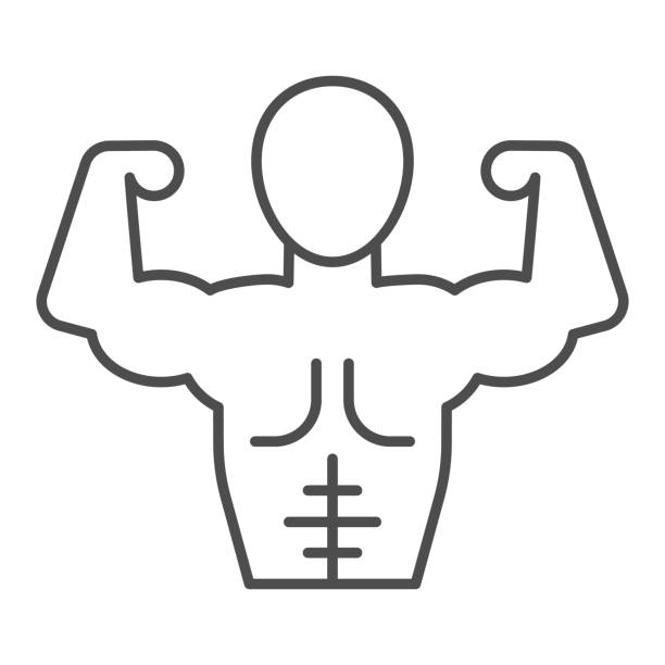 Muscular man line and solid icon. Bodybuilder fitness model with muscles symbol, outline style pictogram on white background. Healthy lifestyle sign for mobile concept and web design. Vector graphics. Muscular man line and solid icon. Bodybuilder fitness model with muscles symbol, outline style pictogram on white background. Healthy lifestyle sign for mobile concept and web design. Vector graphics body building stock illustrations