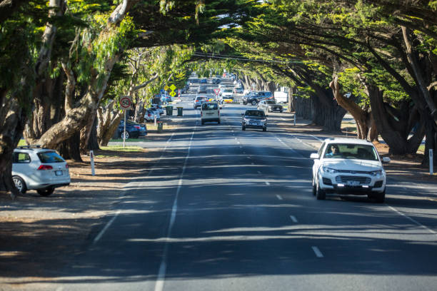 The view up the tree-lined Thompson Avenue in the centre of Cowes on Phillip Island.