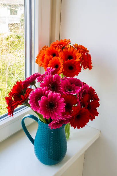 istock Colorful gerberas in vase. 1215195525