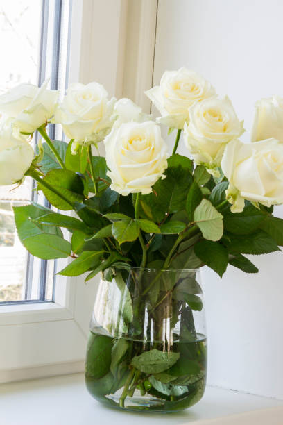 istock White roses in glass vase. 1215195640