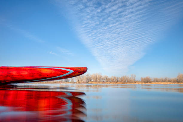 bow of stand up paddleboard on a calm lake bow of stand up paddleboard on a calm lake, early spring scenery in Colorado, low angle view from action camera paddleboard surfing water sport low angle view stock pictures, royalty-free photos & images