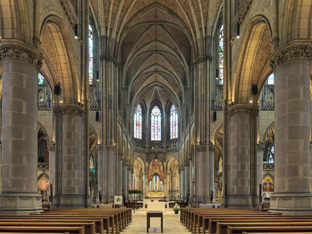 interior de la catedral nueva en linz, austria - iluminación de techo abovedado fotografías e imágenes de stock