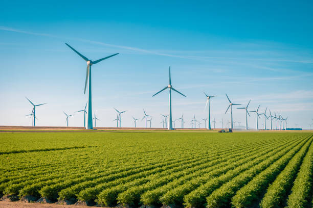 空中から風力タービン、オランダ最大のアイセルマイヤー湖の風車農場をウィンドパークウェスターマイヤーダイクでドローンビュー、持続可能な開発、再生可能エネルギー - 風力タービン ストックフォトと画像