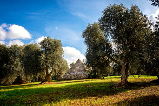 istock Trulli with olive grove. Val d'Itria - Puglia (Apulia) - Italy 1215200241