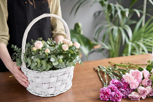 Floral shop concept . Florist woman creates flower arrangement in a wicker basket. Beautiful bouquet of mixed flowers. Handsome fresh bunch. Flowers delivery