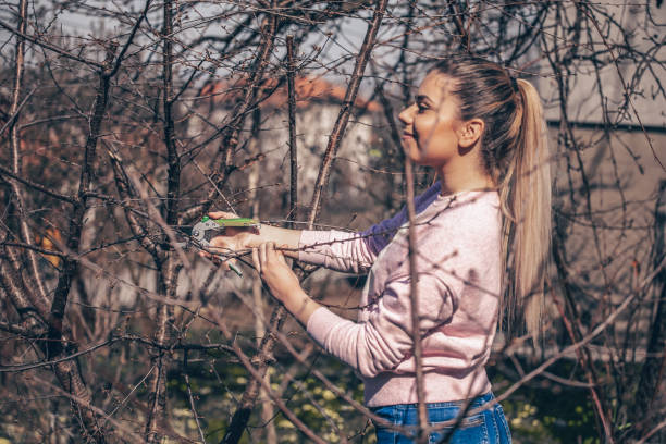 istock Girl in orchard - Pruning fruit tree - Cutting Branches at spring 1215205208