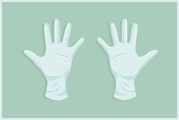 ilustraciones, imágenes clip art, dibujos animados e iconos de stock de guantes médicos - surgical glove