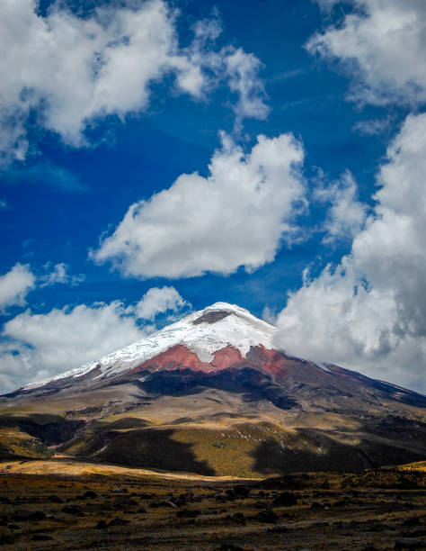 istock Cotopaxi volcano on a sunny morning 1215206692