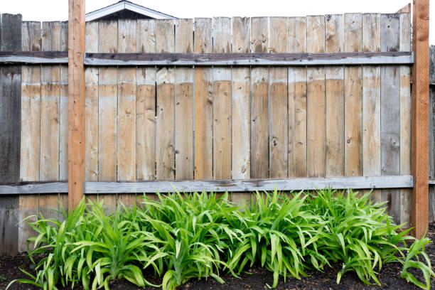 Rainy Fence stock photo