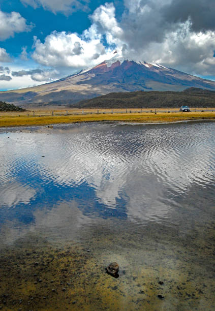 Limpiopungo lagoon and Cotopaxi volcano View of the Limpiopungo lagoon with the Cotopaxi volcano in the background  on a cloudy and overcast afternoon - Ecuador cotopaxi photos stock pictures, royalty-free photos & images