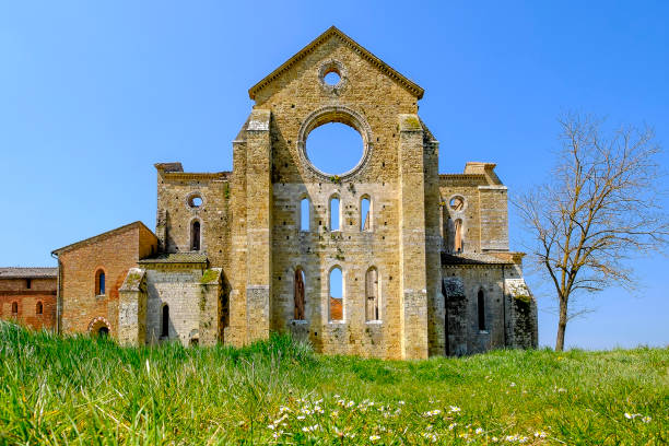 san galgano: the ancient abbey of san galgano,is a mirable example of romanesque architecture in tuscany. chiusdino, siena, italy. - italy old ruin abbey basilica imagens e fotografias de stock