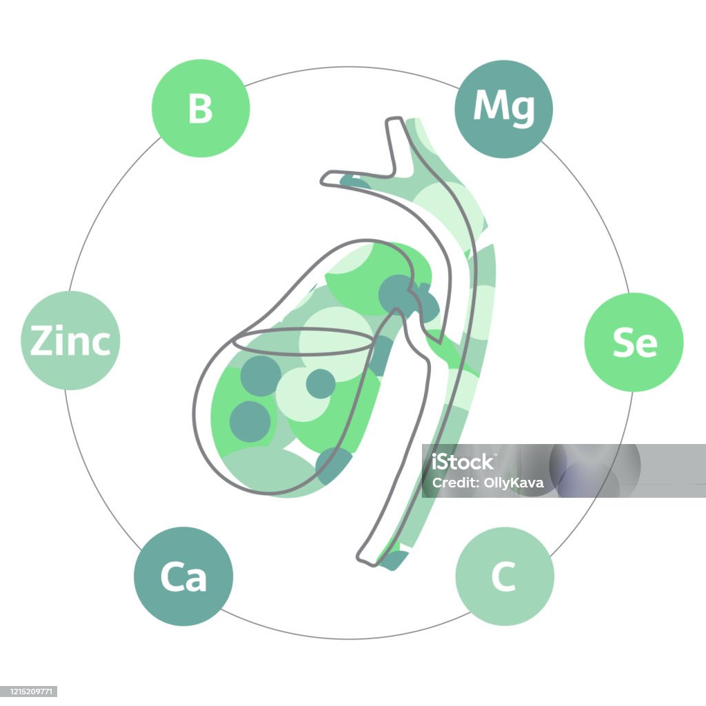 Gallbladder Characterictic Color Healthy Abstract Gallbladder Stock Illustration - Download Image Now ...