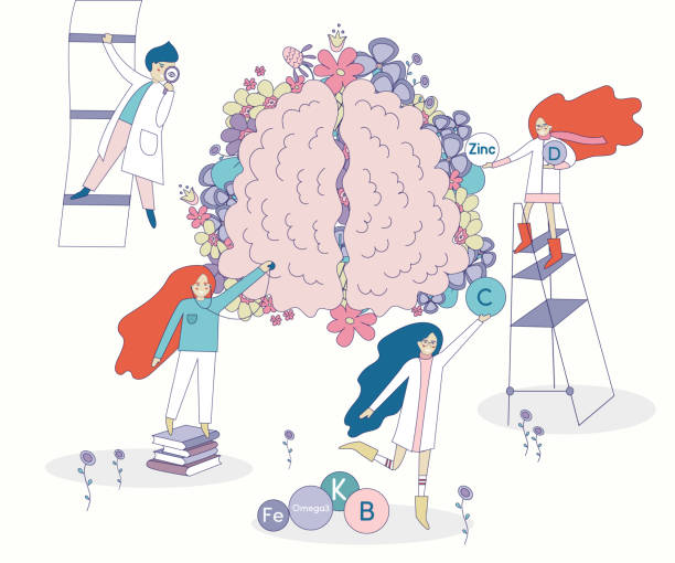 ilustrações de stock, clip art, desenhos animados e ícones de heathy brain and doctors - heathy food