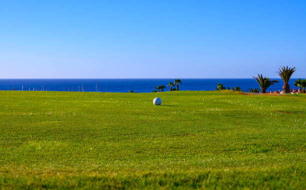 istock Excellent well-kept green grass lawn on large golf course, green section with big white foam balls for beginners on Tenerife island, Canary, Spain 1215210745