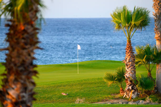 istock View on evergreen grass field on large golf course and blue Atlantic ocean on Tenerife island, Canary, Spain 1215210920