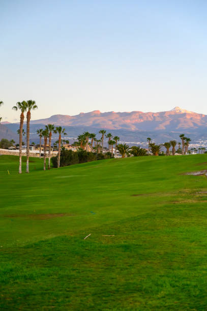 istock View on evergreen grass field on large golf course on tropical island 1215211867