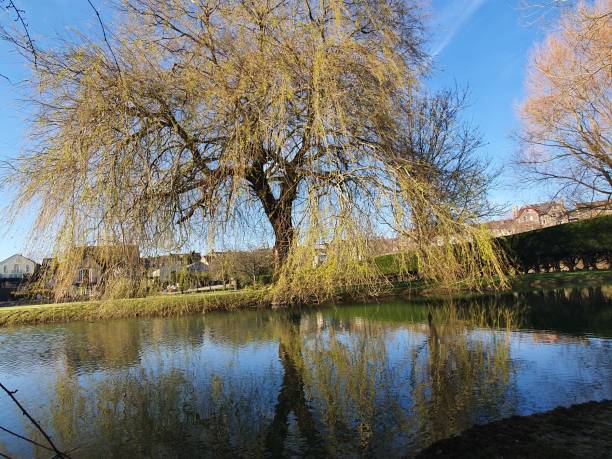 istock Walk along the River Avon in Malmesbury, Wiltshire 1215211903