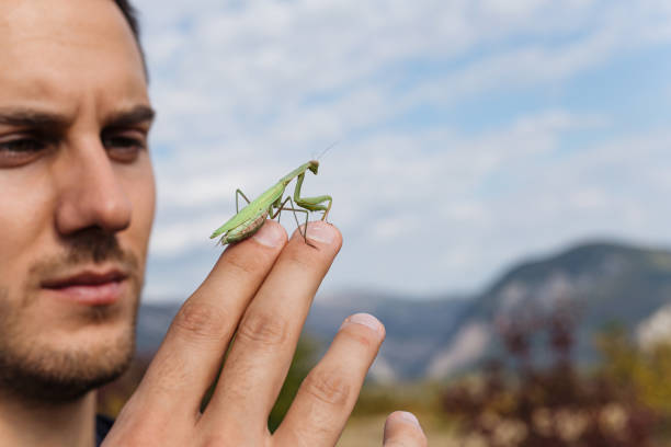 Biologist playing around with a mantis