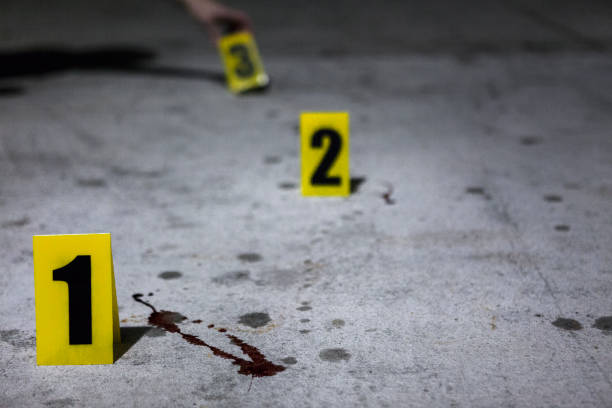 scène de crime avec la main plaçant des marqueurs de preuve à l’éclaboussure de sang - evidence marker photos et images de collection