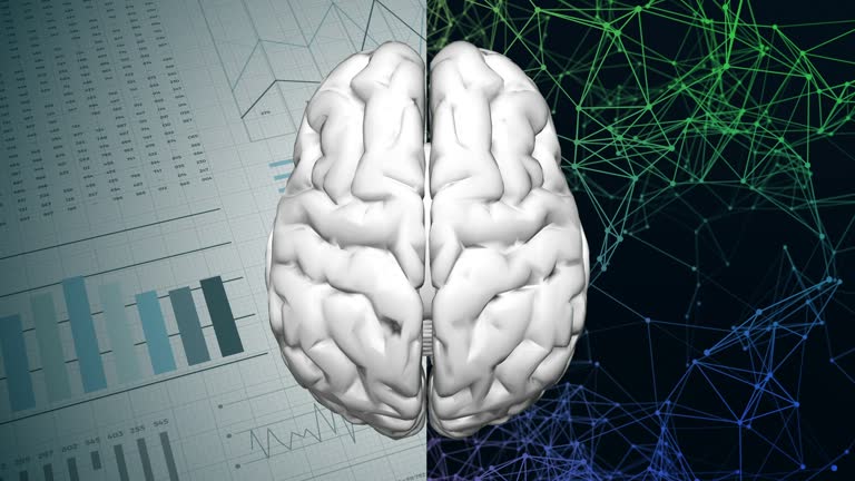 1,649 Side View Of The Brain Stock Videos and Royalty-Free Footage - iStock 1,649 Side View Of The Brain Stock Videos and Royalty-Free Footage - iStock