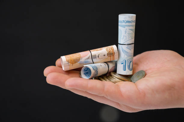 istock Turkish liras, banknote and coins in the palm 1215221139