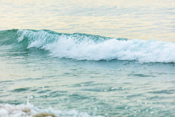 West Coast California Ocean Waves and Beach (Shot with Canon 5DS 50.6mp photos professionally retouched - Lightroom / Photoshop - original size 5792 x 8688 downsampled as needed for clarity and select focus used for dramatic effect)