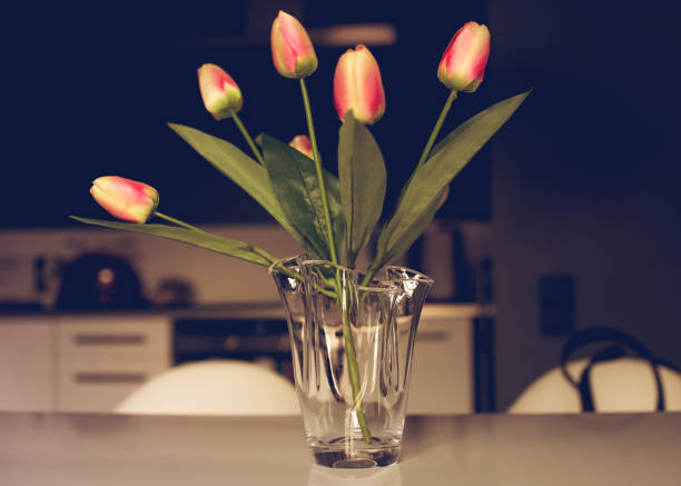 bouquet de tulipes - flower pot vase purple decor photos et images de collection