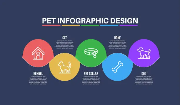 Vector illustration of Infographic design template with pet keywords and icons