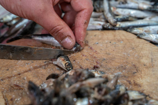 istock Cleaning anchovies 1215227780