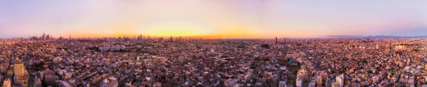 istock D JP Shimo wide rise pan fuji 1215228646