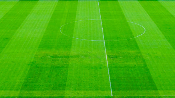 istock The soccer field with green grass 1215230612