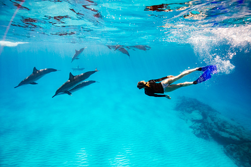 Lifestyle image of a woman swimming with a group of wild Spinner Dolphins in the Atlantic Ocean.
