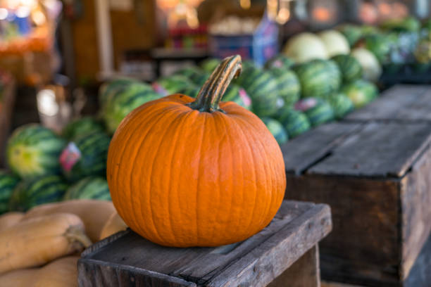 istock Single Pumpking On Wood Box with Watermelons in the Background 1215240529