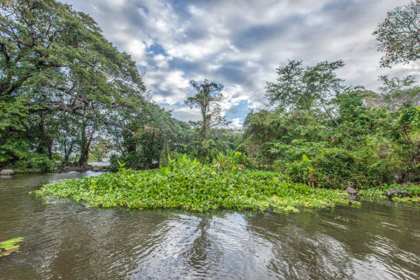 Paysage de Las isletas sur le lac Nicaragua. Grenade. Nicaragua.