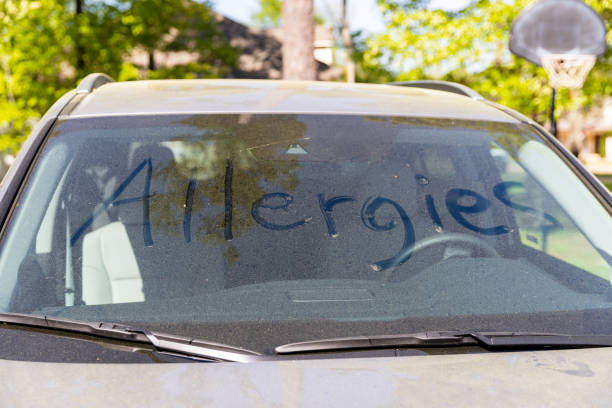 istock Pollen on vehicle windshield with the word 
