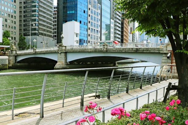 istock Naniwa Bridge seen from Nakanoshima Park, Osaka 1215247497