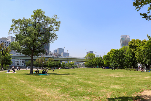 Green grass area in Nakanoshima Park, Osaka, Japan